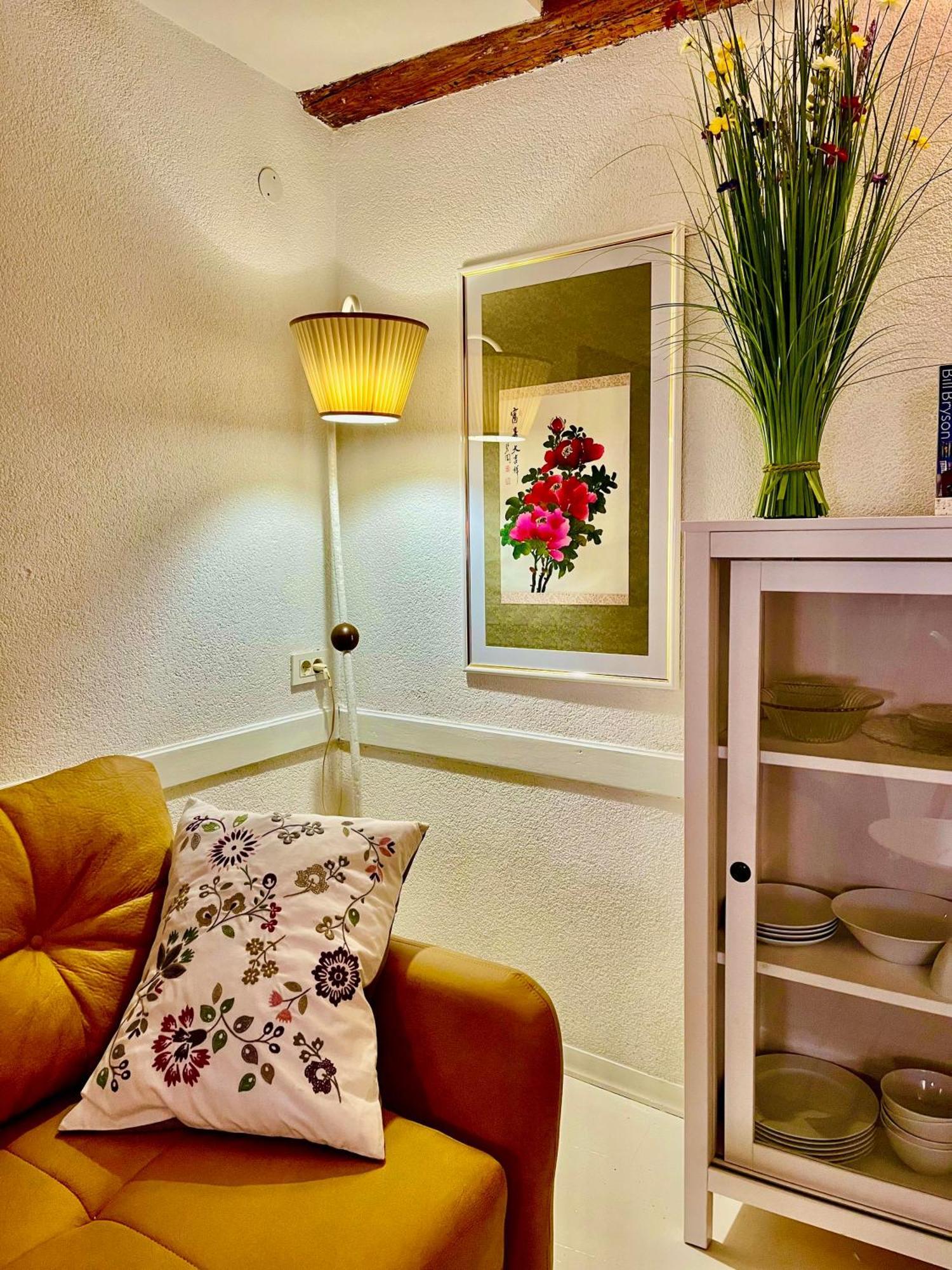 Apartment Jolli Rovigno Esterno foto